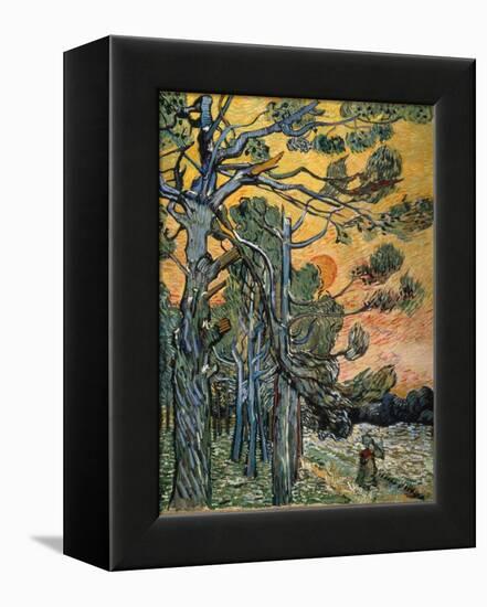 Pine Trees at Sunset, 1889-Vincent van Gogh-Framed Premier Image Canvas