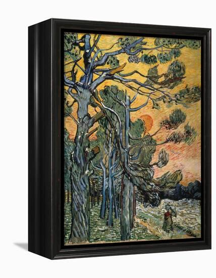 Pine Trees at Sunset, 1889-Vincent van Gogh-Framed Premier Image Canvas