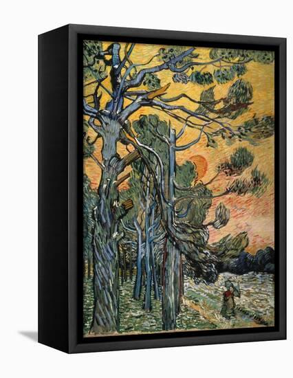 Pine Trees at Sunset, 1889-Vincent van Gogh-Framed Premier Image Canvas