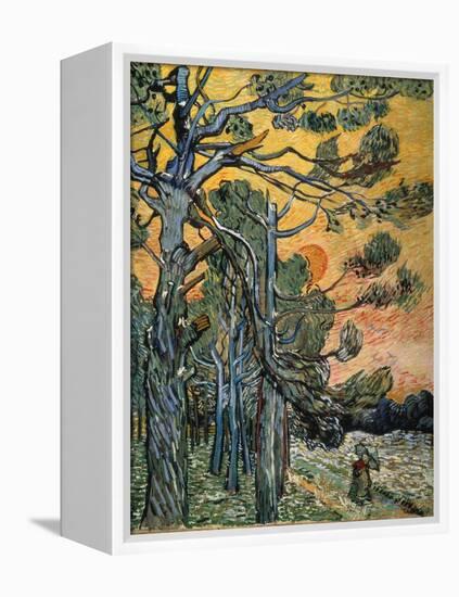 Pine Trees at Sunset, 1889-Vincent van Gogh-Framed Premier Image Canvas