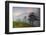 Pine Trees in Clouds, Llogoraja National Park, Albania, June 2009-Geidemark-Framed Photographic Print