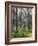 Pine Trees in Great Wood, Borrowdale, Lake District, Cumbria, England, United Kingdom, Europe-Nigel Blythe-Framed Photographic Print