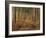 Pine Trees in Rows in Morning Light, Norfolk Wood, Norfolk, England, United Kingdom, Europe-Charcrit Boonsom-Framed Photographic Print