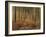 Pine Trees in Rows in Morning Light, Norfolk Wood, Norfolk, England, United Kingdom, Europe-Charcrit Boonsom-Framed Photographic Print