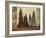 Pine Trees Lodge I-Tania Bello-Framed Giclee Print