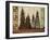 Pine Trees Lodge I-Tania Bello-Framed Giclee Print