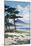 Pine Trees on the Beach with Mt Fuji in the Background, Japan-null-Mounted Giclee Print