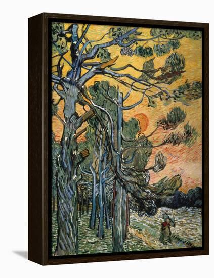 Pine Trees with Sunset and Female Figure, 1889-Vincent van Gogh-Framed Premier Image Canvas