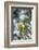 Pine Warbler-Gary Carter-Framed Photographic Print