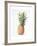 Pineapple, 1997-Alison Cooper-Framed Giclee Print