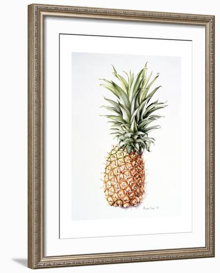 Pineapple, 1997-Alison Cooper-Framed Giclee Print