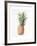 Pineapple, 1997-Alison Cooper-Framed Giclee Print