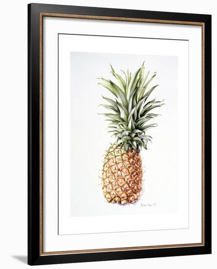 Pineapple, 1997-Alison Cooper-Framed Giclee Print