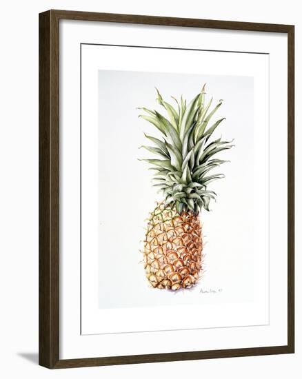 Pineapple, 1997-Alison Cooper-Framed Giclee Print