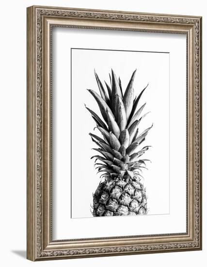 Pineapple Black a White 01-1x Studio III-Framed Photographic Print