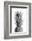 Pineapple Black a White 01-1x Studio III-Framed Photographic Print