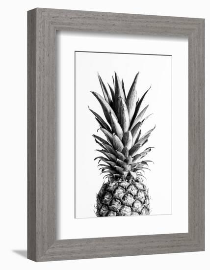 Pineapple Black a White 01-1x Studio III-Framed Photographic Print