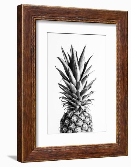 Pineapple Black a White 01-1x Studio III-Framed Photographic Print