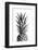 Pineapple Black a White 01-1x Studio III-Framed Photographic Print