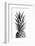 Pineapple Black a White 01-1x Studio III-Framed Photographic Print