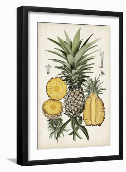 Pineapple Botanical Study I-Naomi McCavitt-Framed Art Print