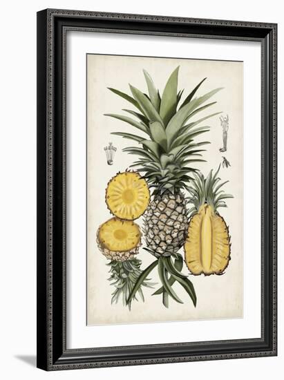 Pineapple Botanical Study I-Naomi McCavitt-Framed Art Print