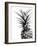 Pineapple (BW)-Lexie Greer-Framed Photographic Print