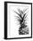 Pineapple (BW)-Lexie Greer-Framed Photographic Print