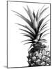 Pineapple (BW)-Lexie Greer-Mounted Photographic Print