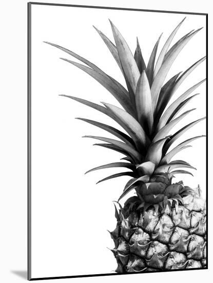 Pineapple (BW)-Lexie Greer-Mounted Photographic Print