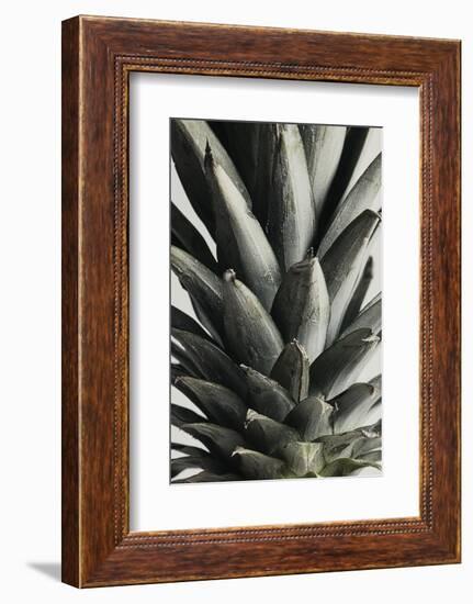 Pineapple close up-1x Studio III-Framed Photographic Print