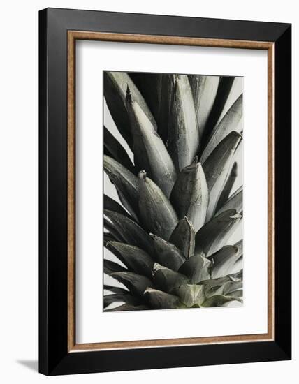 Pineapple close up-1x Studio III-Framed Photographic Print