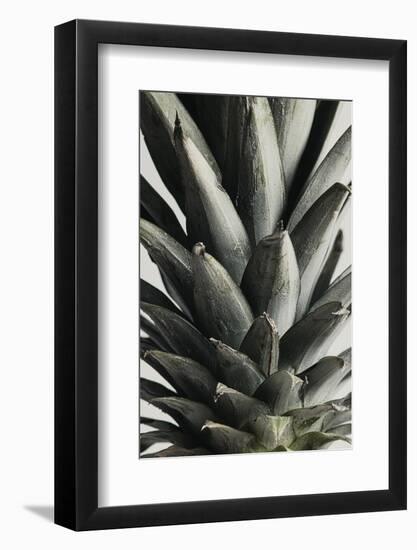 Pineapple close up-1x Studio III-Framed Photographic Print