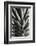 Pineapple close up-1x Studio III-Framed Photographic Print