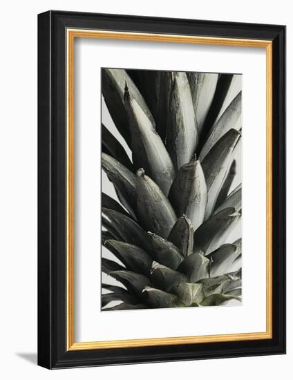 Pineapple close up-1x Studio III-Framed Photographic Print