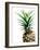 Pineapple (color)-Lexie Greer-Framed Photographic Print