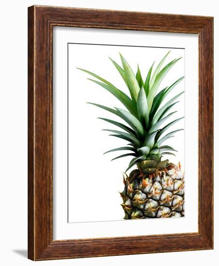 Pineapple (color)-Lexie Greer-Framed Photographic Print