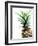 Pineapple (color)-Lexie Greer-Framed Photographic Print