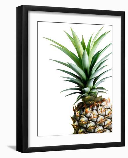 Pineapple (color)-Lexie Greer-Framed Photographic Print