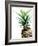 Pineapple (color)-Lexie Greer-Framed Photographic Print