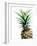 Pineapple (color)-Lexie Greer-Framed Photographic Print