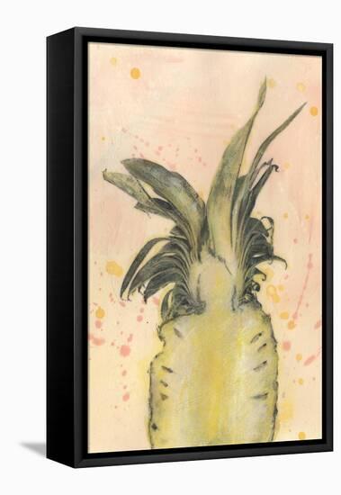 Pineapple Delight II-Naomi McCavitt-Framed Stretched Canvas