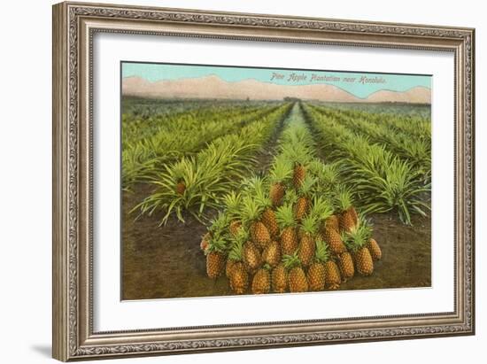 Pineapple Field, Hawaii-null-Framed Art Print