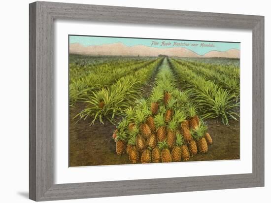 Pineapple Field, Hawaii-null-Framed Art Print