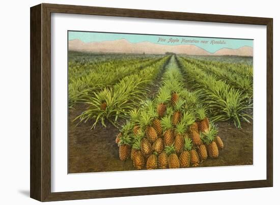 Pineapple Field, Hawaii-null-Framed Art Print