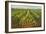 Pineapple Field, Hawaii-null-Framed Art Print