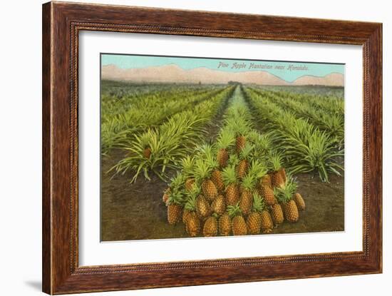 Pineapple Field, Hawaii-null-Framed Art Print