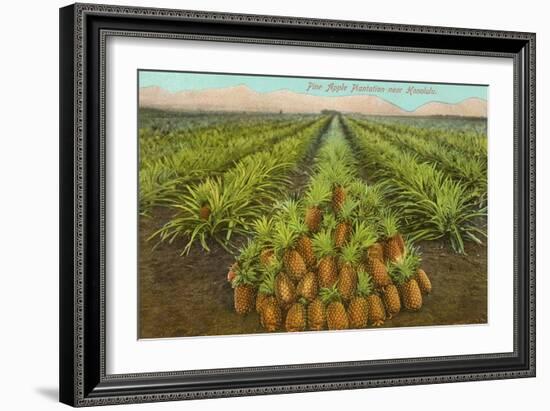 Pineapple Field, Hawaii-null-Framed Art Print