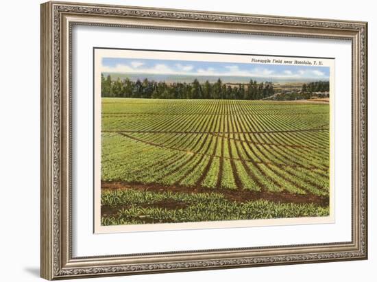 Pineapple Field, Honolulu, Hawaii-null-Framed Art Print