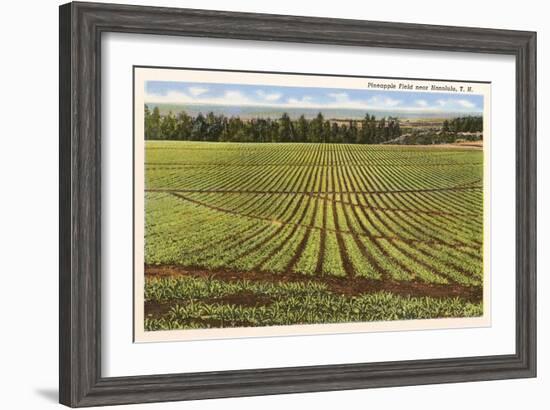 Pineapple Field, Honolulu, Hawaii-null-Framed Art Print